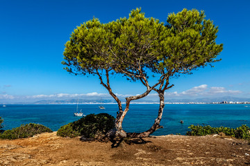 Fototapeta na wymiar Seascape in Majorca