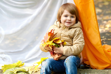 Девочка с кленовыми листьями в руках © dina777