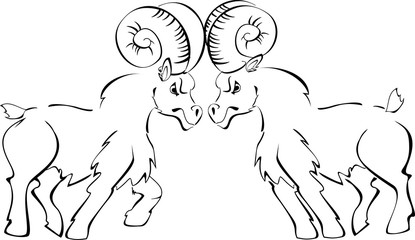 Two rams butting