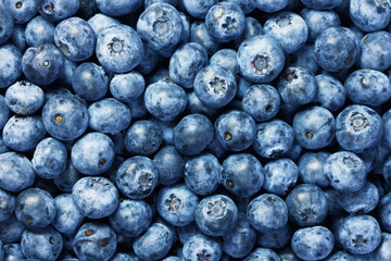 Fresh blueberries background
