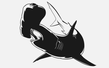 The Hammerhead Shark - obrazy, fototapety, plakaty
