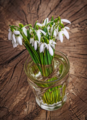 snowdrop flowers on an old table