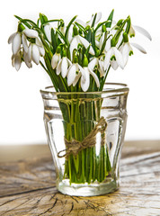 snowdrop flowers on a table