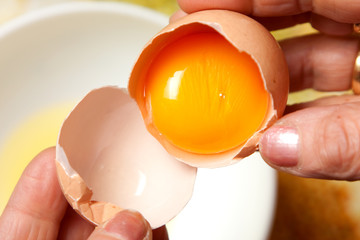 Rupture of an egg