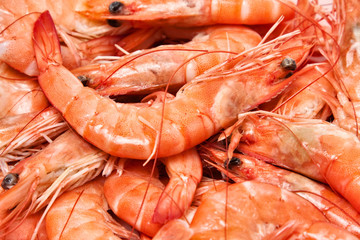 closeup of prawns