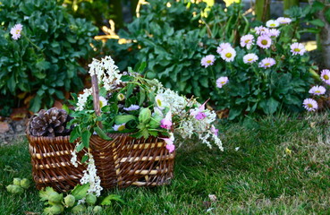 panier ,cueillette de fleurs sauvages ,en campagne