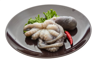 Raw octopus