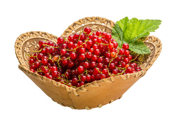 Red currant