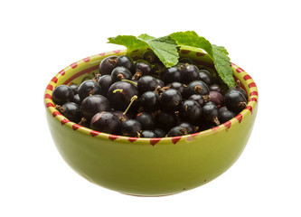 Black currant