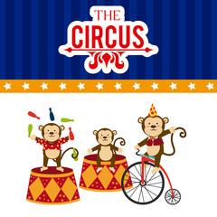 Circus design