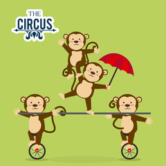 Circus design