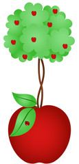 Apple Tree in Apple