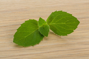 Mint leaves