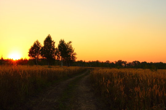 поле