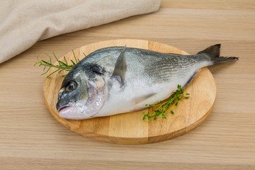 Raw dorado