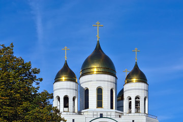 Fototapeta na wymiar Domes of Cathedral of Christ the Saviour. Kaliningrad, Russia