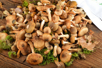 funghi chiodini su vecchio tavolo