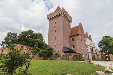 Fototapeta na wymiar Royal Castle in Poznan