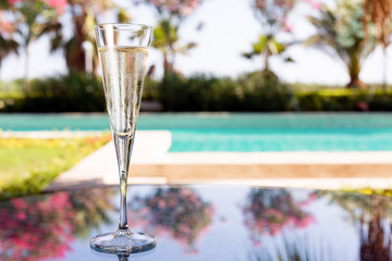 Glass of champagne