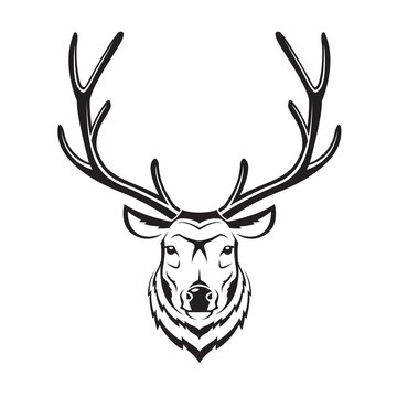 monochrome image of an deer head