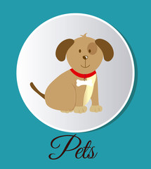 pets design