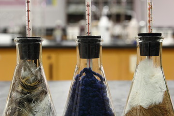 Laboratory experiment: the best insulation