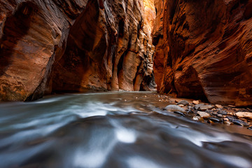 The narrows trail, Zion national park, Utah
