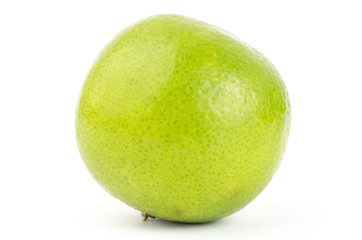 Lime
