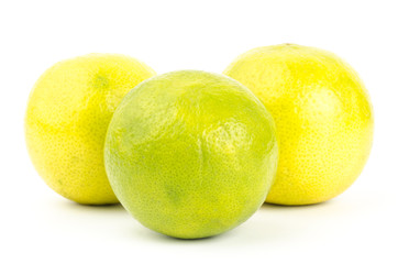 Lime