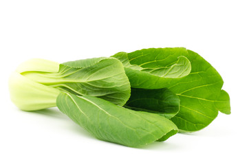 Bok choy (chinese cabbage)