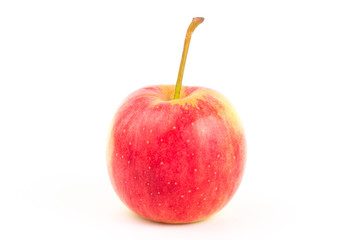 Fresh apple fruit