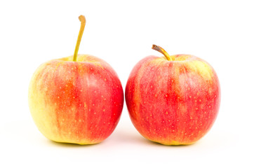 Fresh apple fruit