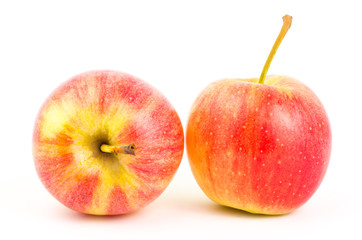 Fresh apple fruit