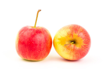 Fresh apple fruit