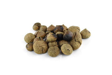 Hazelnuts on white background