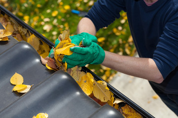 Cleaning the rain gutter during autumn © Photographee.eu