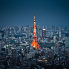 Tokyo tower night sky view - obrazy, fototapety, plakaty