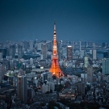 Fototapeta Tokyo tower night sky view