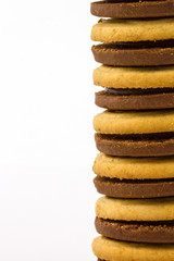 Biscuit on white background.
