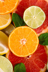 Fototapeta na wymiar Different sliced juicy citrus fruits, close up