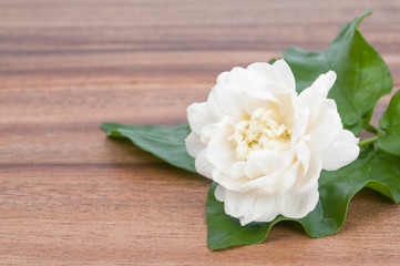 Jasmine white flower on wooden background.