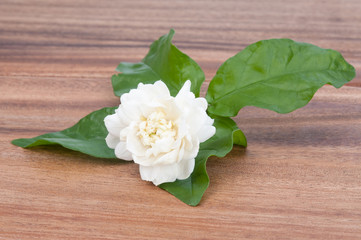 .Jasmine white flower on wooden background.