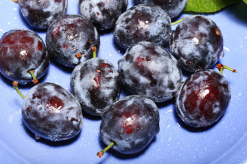 Ripe sweet plums on blue plate, close up