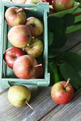 Juicy apples in box, close-up