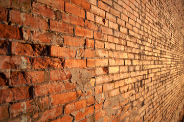 red brick wall with sunset light