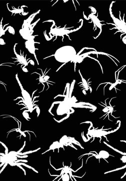 eamles background from white spiders and scorpions