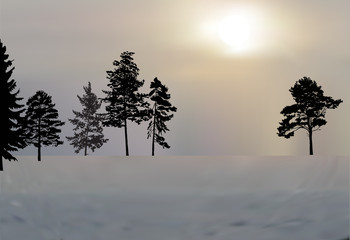 winter trees black silhouettes in snow landscape