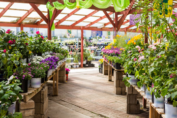 Nursery
