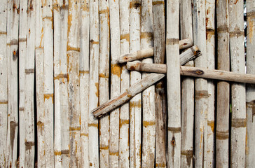 Old bamboo wall with green leaves