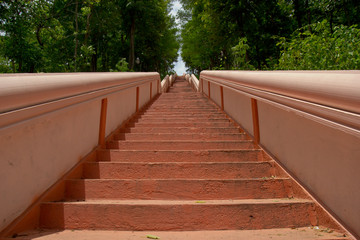 Step of Naga